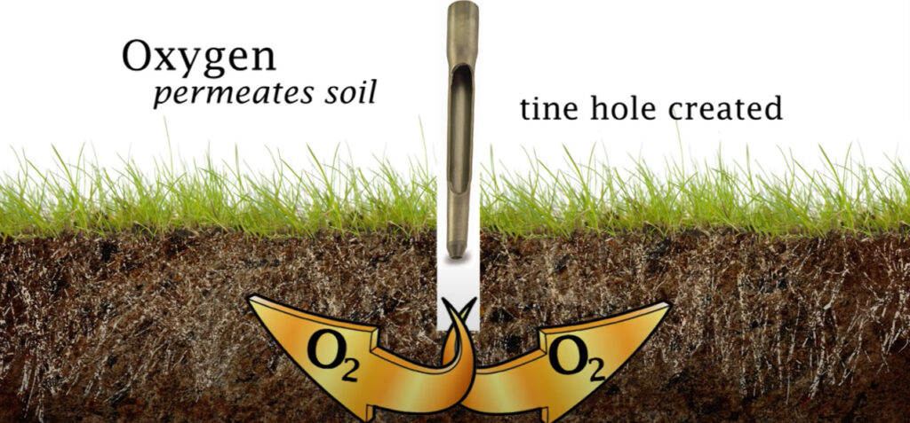 Oxygen permeates soil