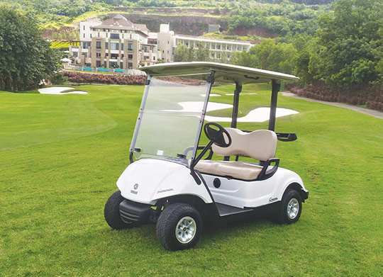 yamaha-golfcart-two-seater-in-india